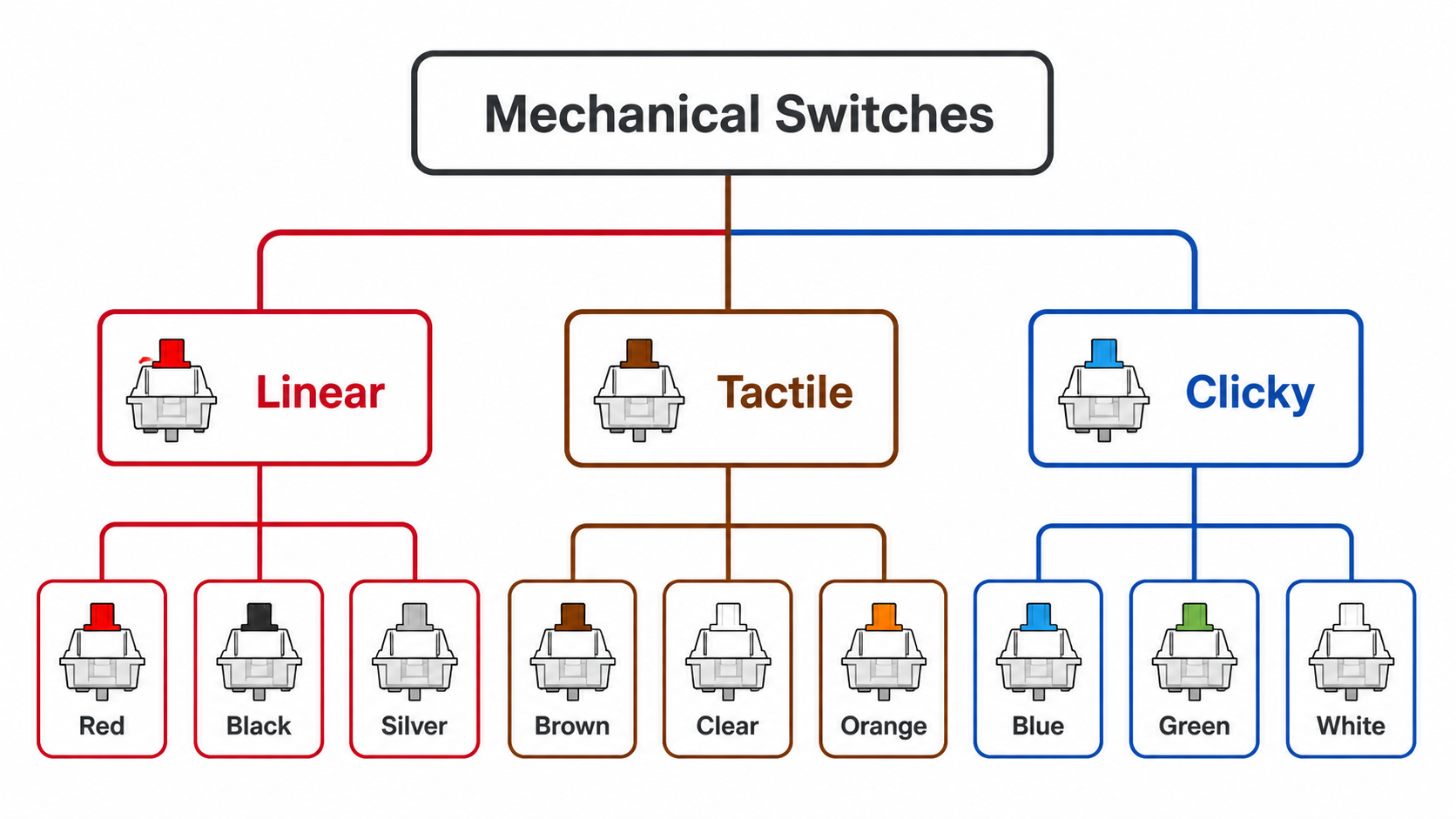 Flowchart categorizing switch types into three families — Linear, Tactile, and Clicky — with popular examples under each