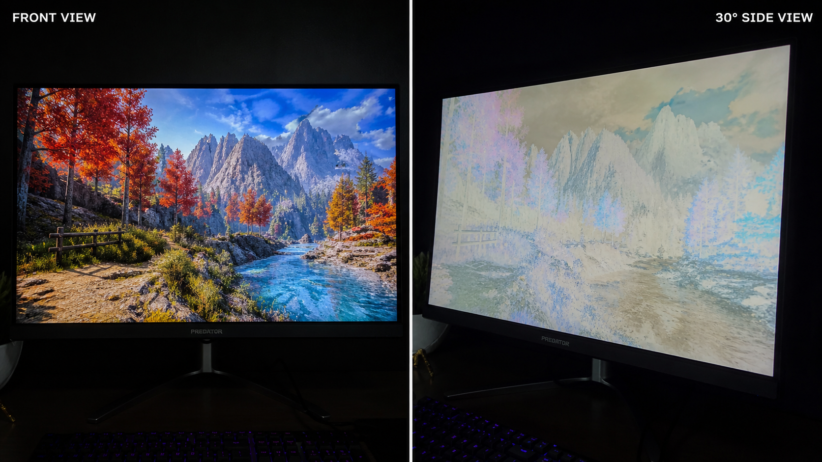 Side-by-side photos showing the same image on a TN panel from directly in front versus from a 30-degree angle — colors wash out and contrast inverts at the angle